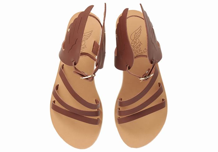 Coffee Women Ancient Greek Sandals Ikaria Leather Ankle Strap Sandals | UMU5913TH