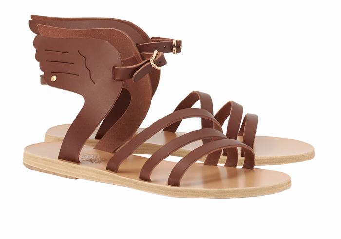 Coffee Women Ancient Greek Sandals Ikaria Leather Ankle Strap Sandals | UMU5913TH