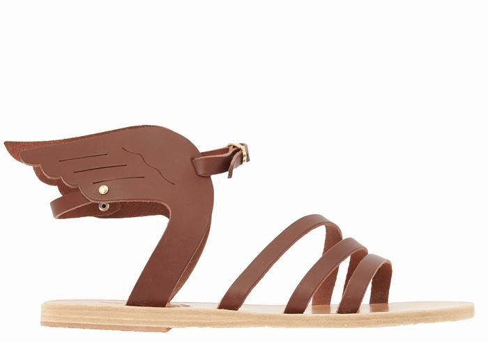 Coffee Women Ancient Greek Sandals Ikaria Leather Ankle Strap Sandals | UMU5913TH