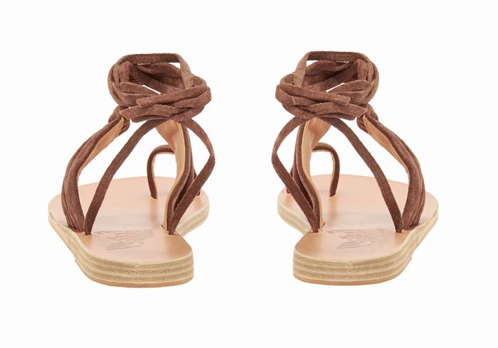 Coffee Women Ancient Greek Sandals Kerasia Gladiator Sandals | ODA7094CS