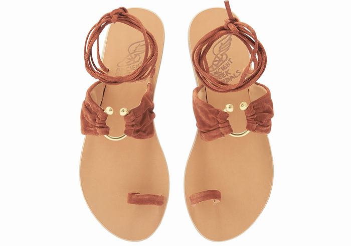 Coffee Women Ancient Greek Sandals Kerasia Gladiator Sandals | NQU179SC