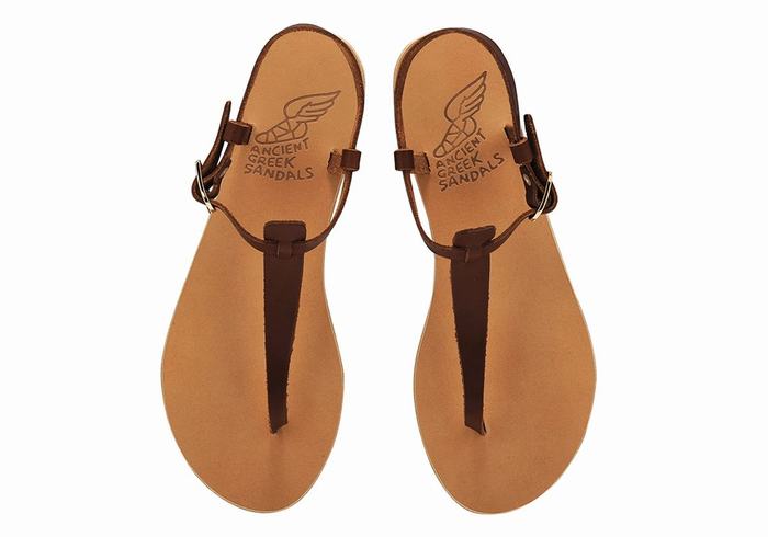 Coffee Women Ancient Greek Sandals Lito Flip Flop Leather Back-Strap Sandals | NBN3214NK