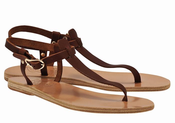 Coffee Women Ancient Greek Sandals Lito Flip Flop Leather Back-Strap Sandals | NBN3214NK