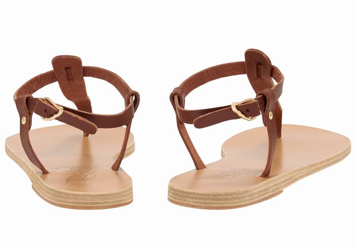 Coffee Women Ancient Greek Sandals Lito Flip Flop Leather Back-Strap Sandals | NBN3214NK