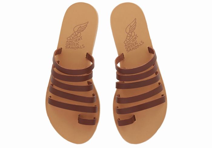 Coffee Women Ancient Greek Sandals Niki Leather Toe-Post Sandals | LJS1181EY