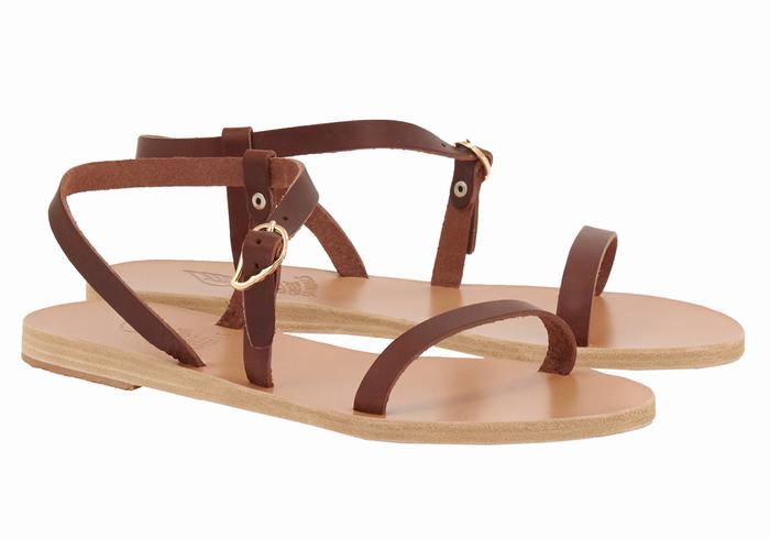 Coffee Women Ancient Greek Sandals Niove Leather Back-Strap Sandals | XRG2774QA