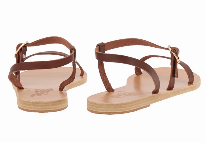 Coffee Women Ancient Greek Sandals Niove Leather Back-Strap Sandals | XRG2774QA