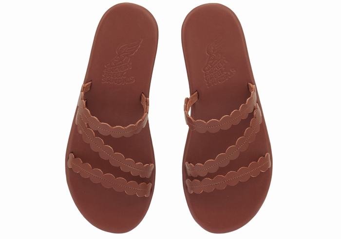 Coffee Women Ancient Greek Sandals Oceanis Slide Sandals | COF2854LL