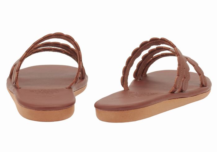 Coffee Women Ancient Greek Sandals Oceanis Slide Sandals | COF2854LL