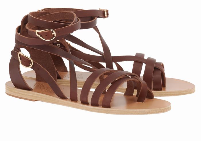 Coffee Women Ancient Greek Sandals Satira Leather Gladiator Sandals | RBV9826ZL