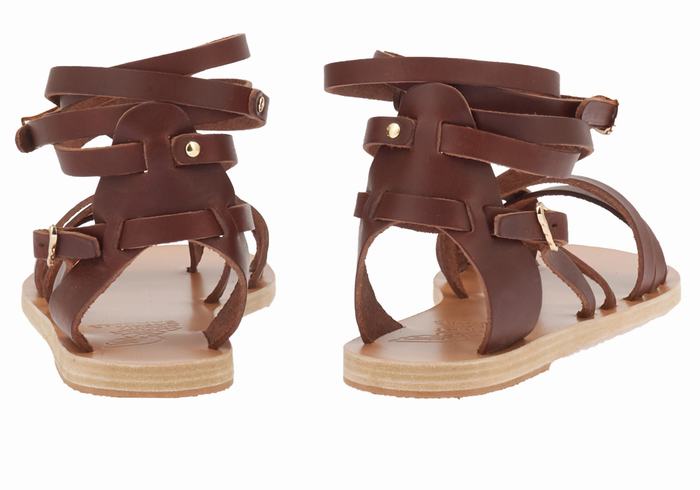 Coffee Women Ancient Greek Sandals Satira Leather Gladiator Sandals | RBV9826ZL