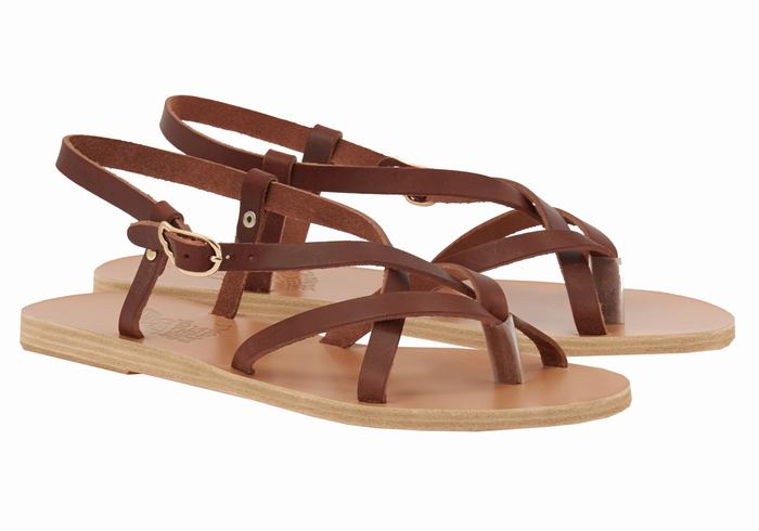 Coffee Women Ancient Greek Sandals Semele Leather Back-Strap Sandals | PUC1922CI