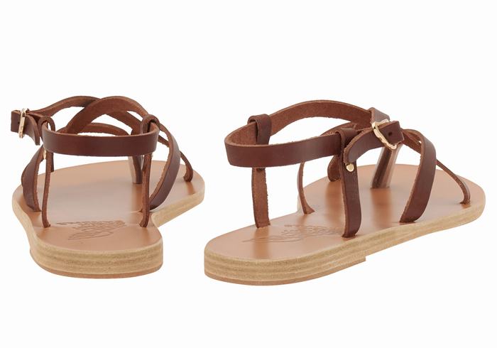 Coffee Women Ancient Greek Sandals Semele Leather Back-Strap Sandals | PUC1922CI