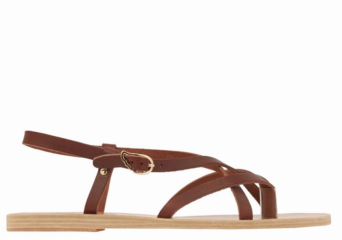 Coffee Women Ancient Greek Sandals Semele Leather Back-Strap Sandals | PUC1922CI