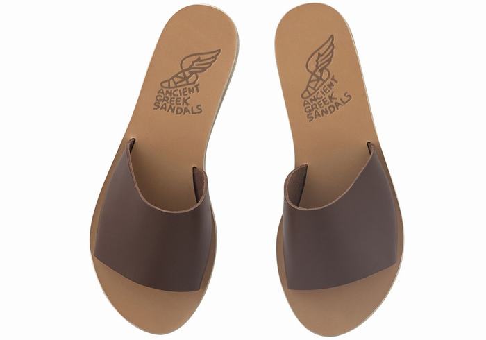 Coffee Women Ancient Greek Sandals Taygete Slide Sandals | BJT4919IB