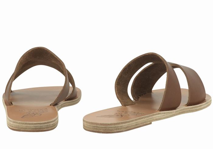 Dark Brown Women Ancient Greek Sandals Apteros Slide Sandals | LZQ9867YO