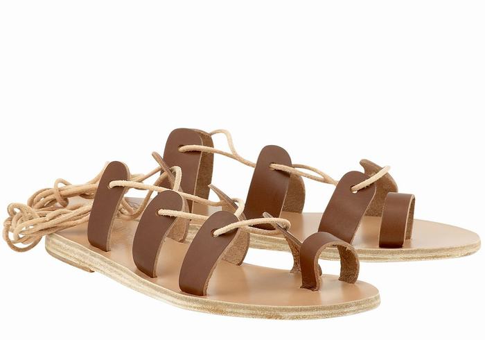 Dark Brown Women Ancient Greek Sandals Alcyone Leather Gladiator Sandals | URC8477PL