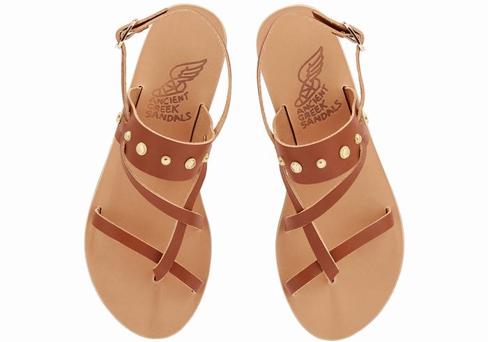 Dark Brown Women Ancient Greek Sandals Alethea Bee Back-Strap Sandals | LZT4031BP