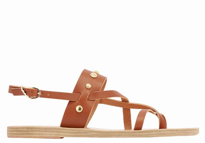 Dark Brown Women Ancient Greek Sandals Alethea Bee Back-Strap Sandals | LZT4031BP