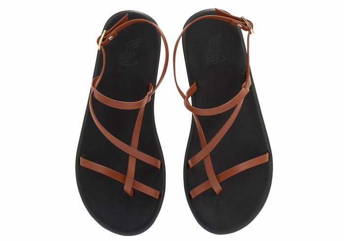 Dark Brown Women Ancient Greek Sandals Alethea Back-Strap Sandals | UCW3729WX