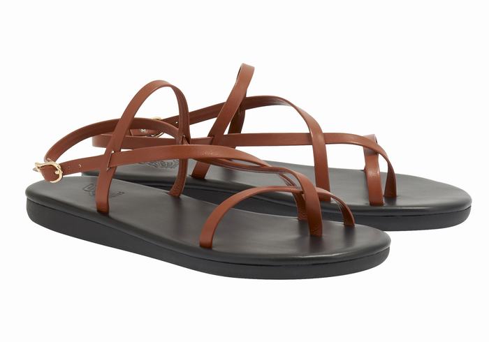 Dark Brown Women Ancient Greek Sandals Alethea Back-Strap Sandals | UCW3729WX