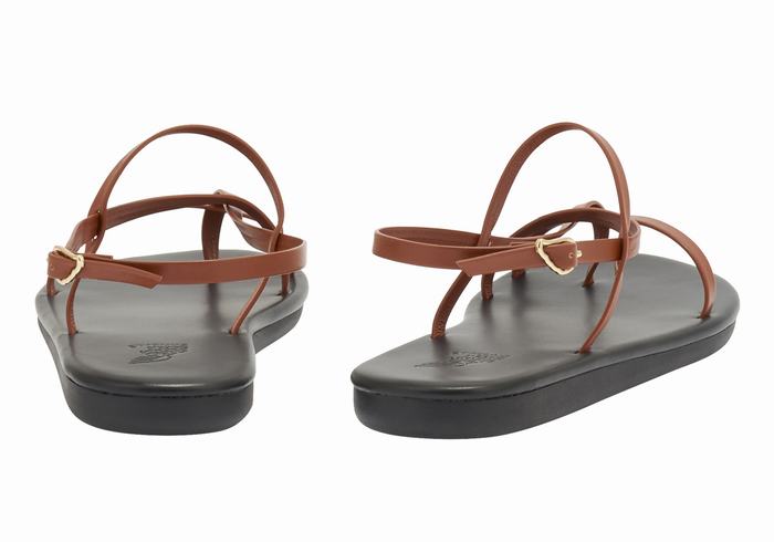 Dark Brown Women Ancient Greek Sandals Alethea Back-Strap Sandals | UCW3729WX