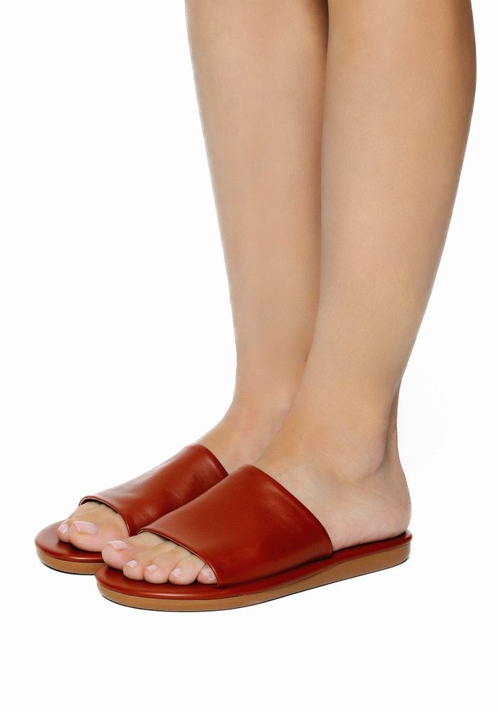 Dark Brown Women Ancient Greek Sandals Cerastes Slide Sandals | GGL789MC