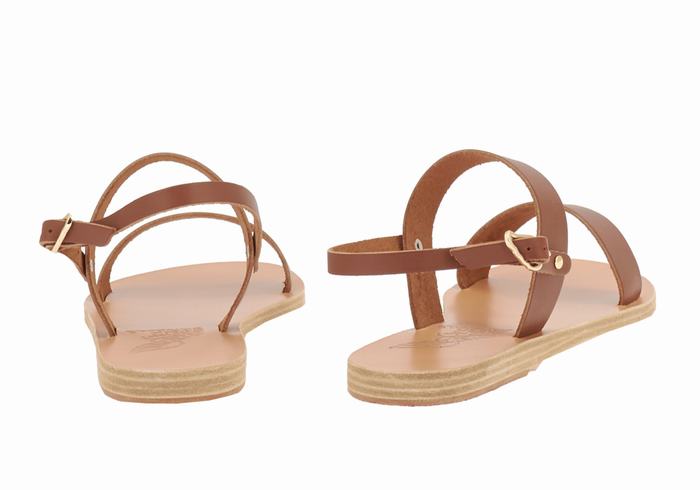 Dark Brown Women Ancient Greek Sandals Clio Back-Strap Sandals | SLX3027GY