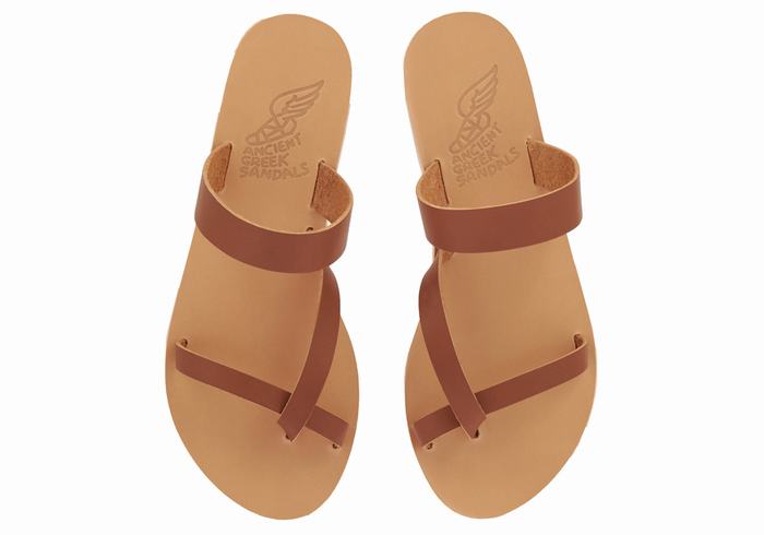 Dark Brown Women Ancient Greek Sandals Daphnae Leather Slide Sandals | PIG3088AI