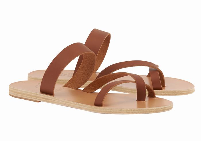 Dark Brown Women Ancient Greek Sandals Daphnae Leather Slide Sandals | PIG3088AI