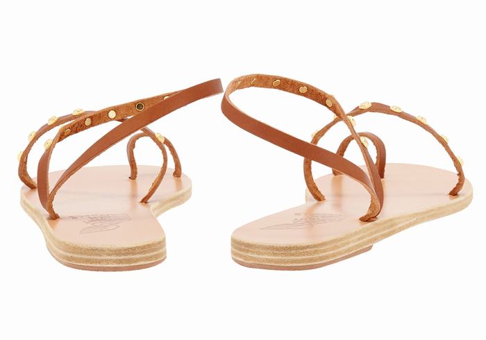 Dark Brown Women Ancient Greek Sandals Eleftheria Bee Toe-Post Sandals | DQF3775DI