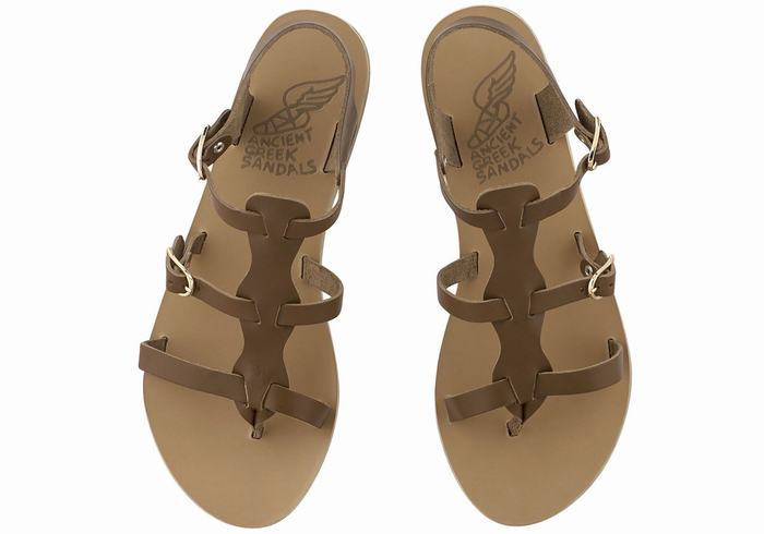 Dark Brown Women Ancient Greek Sandals Grace Kelly Leather Casual Sandals | ZPT7965OV