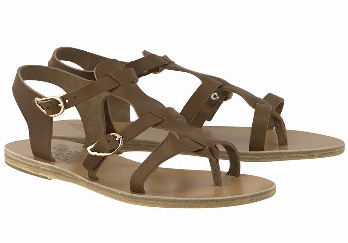 Dark Brown Women Ancient Greek Sandals Grace Kelly Leather Casual Sandals | ZPT7965OV