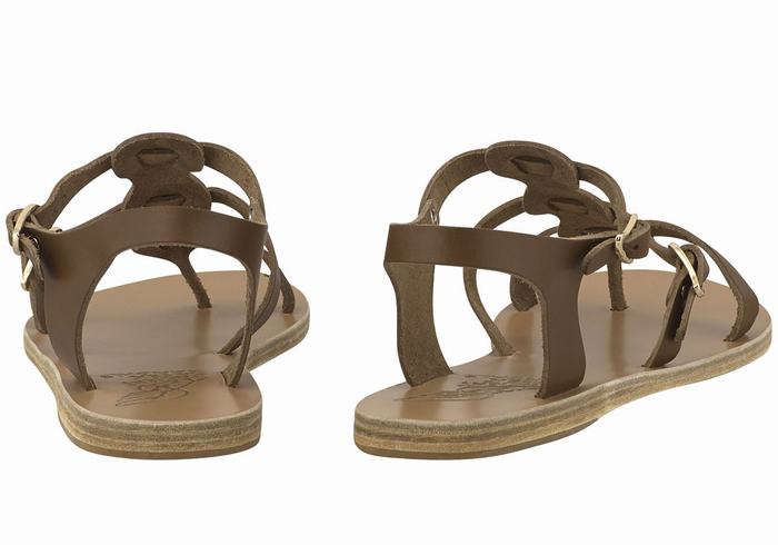 Dark Brown Women Ancient Greek Sandals Grace Kelly Leather Casual Sandals | ZPT7965OV