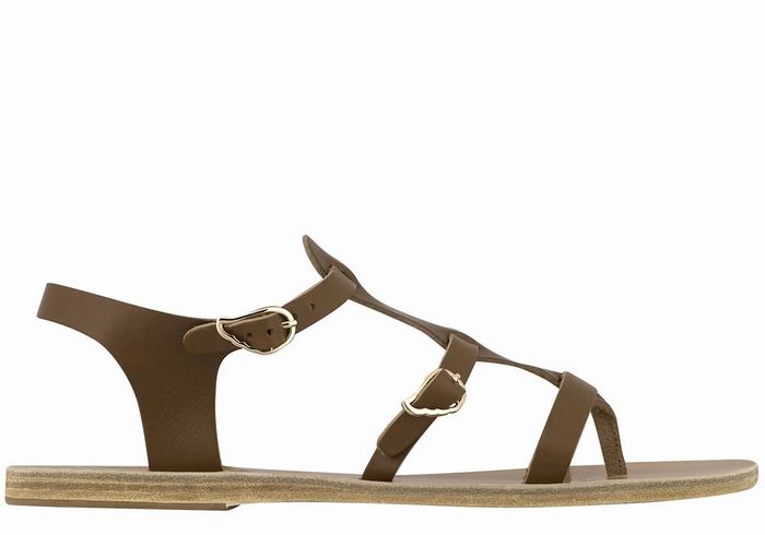 Dark Brown Women Ancient Greek Sandals Grace Kelly Leather Casual Sandals | ZPT7965OV