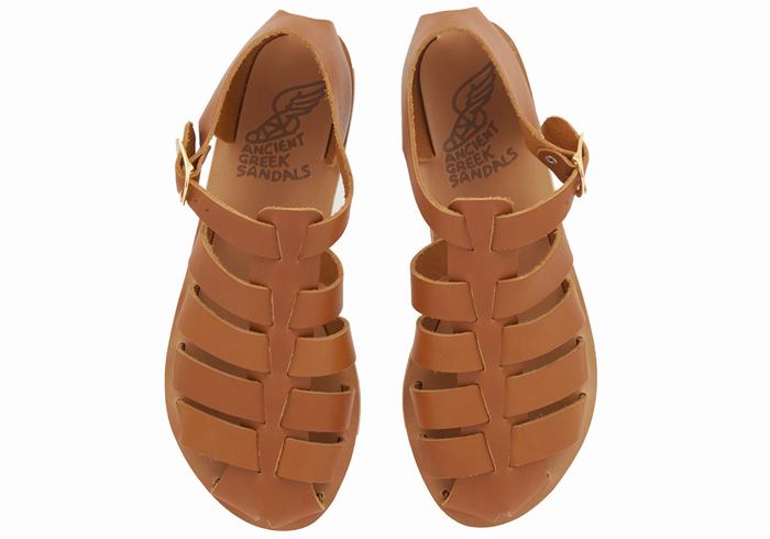 Dark Brown Women Ancient Greek Sandals Homeria Leather Fisherman Sandals | NJQ3076YJ