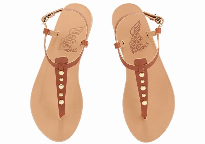 Dark Brown Women Ancient Greek Sandals Lito Bee Back-Strap Sandals | LOL8486AL