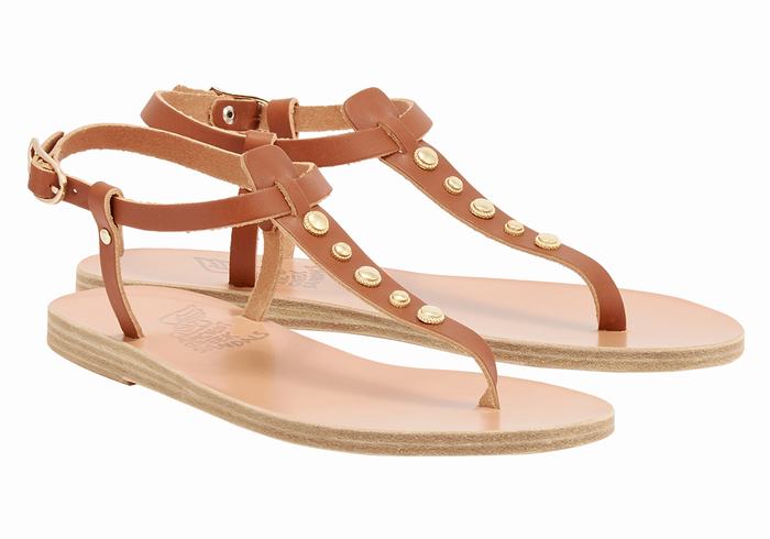 Dark Brown Women Ancient Greek Sandals Lito Bee Back-Strap Sandals | LOL8486AL