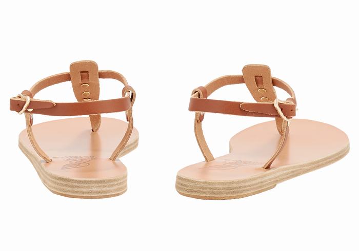 Dark Brown Women Ancient Greek Sandals Lito Bee Back-Strap Sandals | LOL8486AL