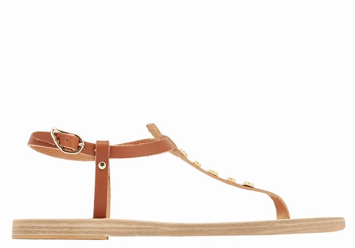 Dark Brown Women Ancient Greek Sandals Lito Bee Back-Strap Sandals | LOL8486AL