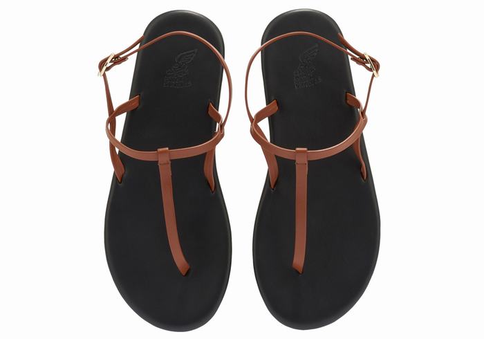 Dark Brown Women Ancient Greek Sandals Lito Flip Flop Back-Strap Sandals | CXY1372LB