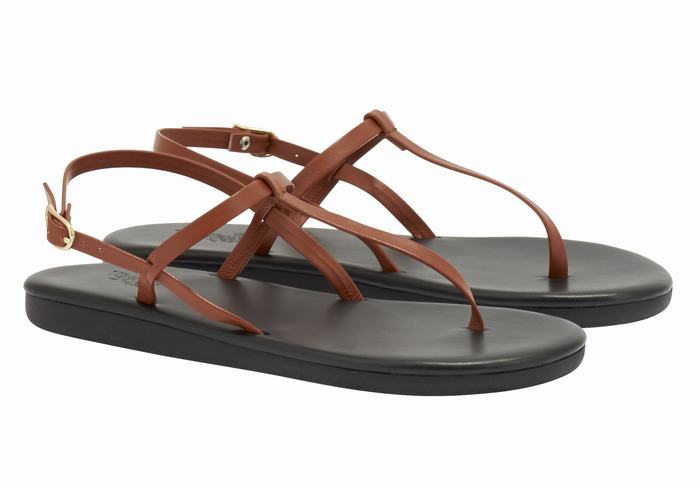 Dark Brown Women Ancient Greek Sandals Lito Flip Flop Back-Strap Sandals | CXY1372LB