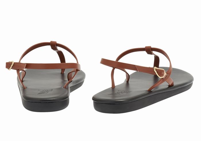 Dark Brown Women Ancient Greek Sandals Lito Flip Flop Back-Strap Sandals | CXY1372LB