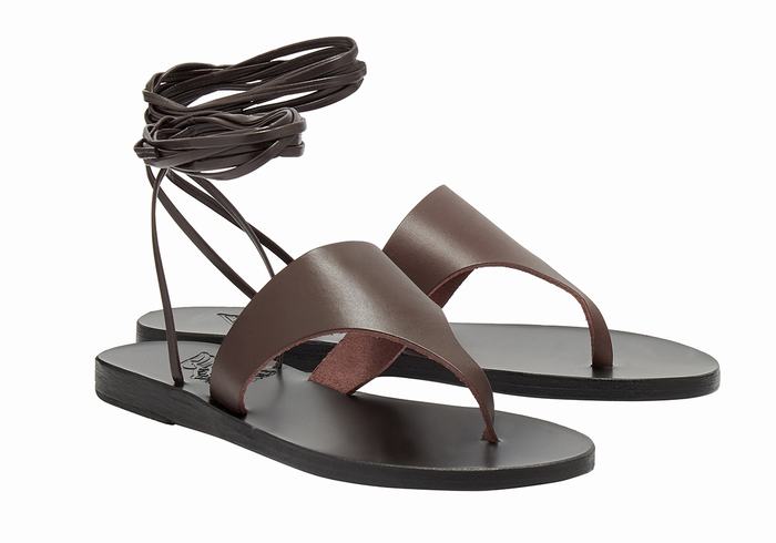 Dark Brown Women Ancient Greek Sandals Nychta Leather Gladiator Sandals | QEZ5833VC