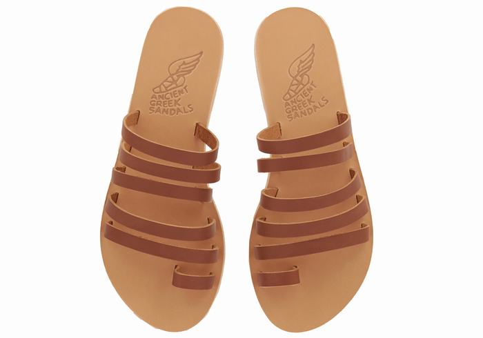 Dark Brown Women Ancient Greek Sandals Niki Leather Toe-Post Sandals | FAE595SU