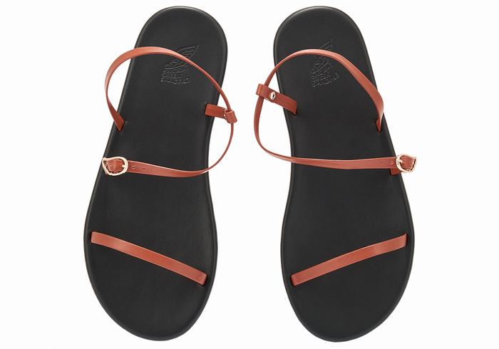 Dark Brown Women Ancient Greek Sandals Niove Back-Strap Sandals | MCN559BG