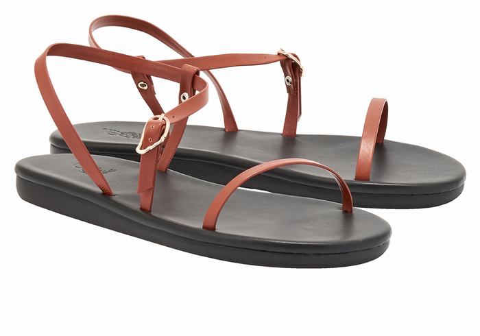 Dark Brown Women Ancient Greek Sandals Niove Back-Strap Sandals | MCN559BG