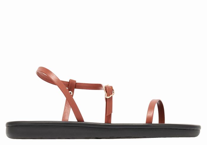 Dark Brown Women Ancient Greek Sandals Niove Back-Strap Sandals | MCN559BG