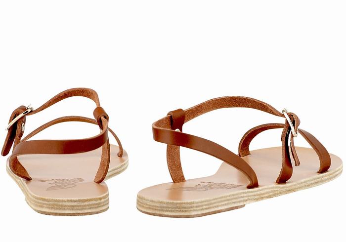 Dark Brown Women Ancient Greek Sandals Niove Leather Back-Strap Sandals | OCM3713SR