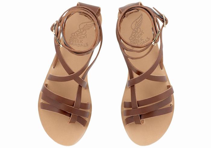 Dark Brown Women Ancient Greek Sandals Satira Leather Gladiator Sandals | NCC4952VJ